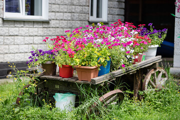 Decorative flowers in a pot in the vintage cart