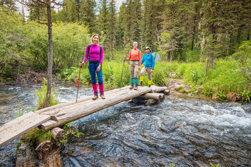 Hiking friends cross a mountain river over wooden bridge in a nature national park