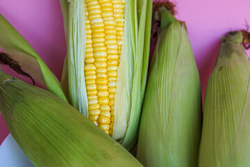 Close-up of fresh sweet corn on table