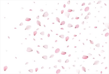 Cherry petals backdrop. Sakura petals background.