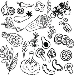 Mediterranean cuisine and vegetarian diet, vegetables linear hand drawn illustration.