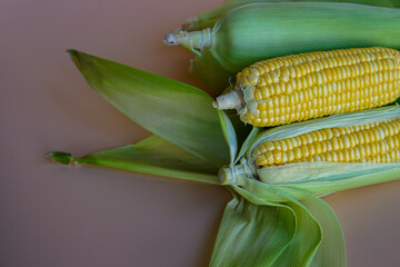 Close-up of fresh sweet corn on table