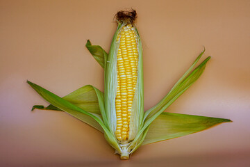 Close-up of fresh sweet corn on table