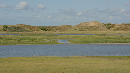 creek with saltwater and dunes on a sunny summer day in Het Zwin nature reserve, Knokke, Flanders, Belgium 