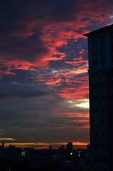 Silhouettes views at sunset.