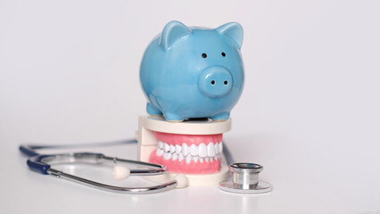 Piggy bank with White teeth model on white background. tax offset concept. Medical Expense Deductions and Tax Breaks. affordable care act. high cost health care. dental expenses