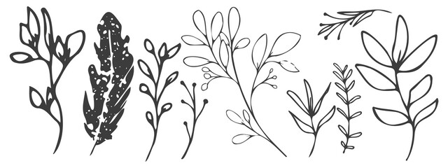 Fototapeta premium Vector plants and grasses. Minimalist black style of hand drawn plants. With leaves and organic shapes. For your own design.