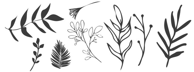 Fototapeta premium Vector plants and grasses. Minimalist black style of hand drawn plants. With leaves and organic shapes. For your own design.