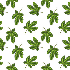 Obraz premium seamless pattern with drawing leaf of fig tree,green leaves at white background, hand drawn illustration