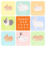 2023年 卯年 世界のウサギの年賀状 ベクター イラスト