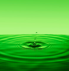 Naklejka na ściany i meble green background with diverging circles from dropped drop on surface water.