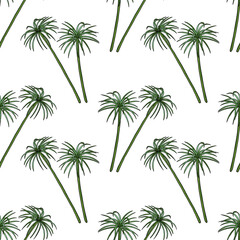 seamless pattern with drawing plant of papyrus at white background, hand drawn illustration