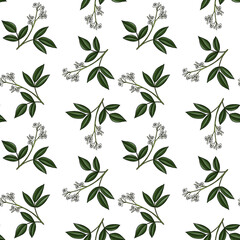 seamless pattern with drawing branch of amyris at white background, hand drawn illustration