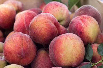 Fototapeta na wymiar Lots of ripe peaches in a wooden box. Fruit background, healthy food