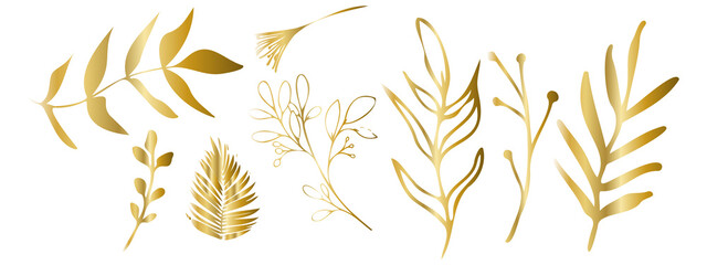 Vector plants and grasses in gold style with shiny effects. Minimalist style. Hand drawn plants. With leaves and organic shapes. For your own design.