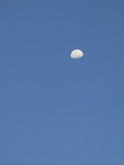 Morning Moon