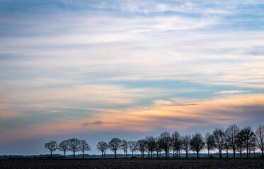 Chmury malowane zachodem słońca nad drzewami
