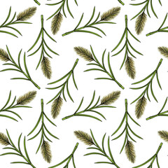seamless pattern with drawing plant of sugarcane at white background, hand drawn illustration