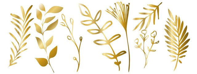 Fototapeta na wymiar Vector plants and grasses in gold style with shiny effects. Minimalist style. Hand drawn plants. With leaves and organic shapes. For your own design.