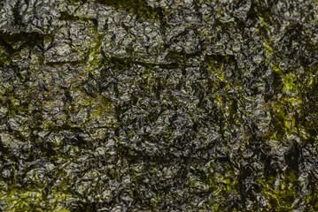 Tasty nori seaweed isolated on white.