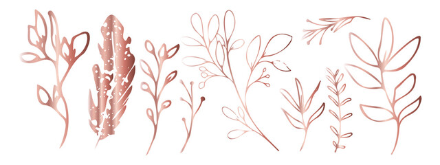 Vector plants and grasses in gold style with shiny effects. Minimalist style. Hand drawn plants. With leaves and organic shapes. For your own design.