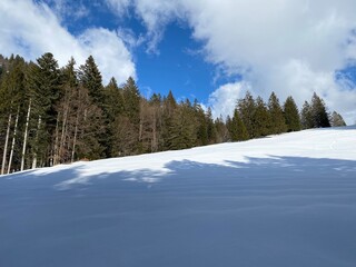 Fototapeta na wymiar Picturesque canopies of alpine trees in a typical winter atmosphere after snowfall over the Obertoggenburg alpine valley and in the Swiss Alps - Unterwasser, Switzerland (Schweiz)