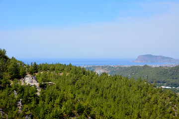 Fototapeta na wymiar mountains with pine trees on blue sky background
