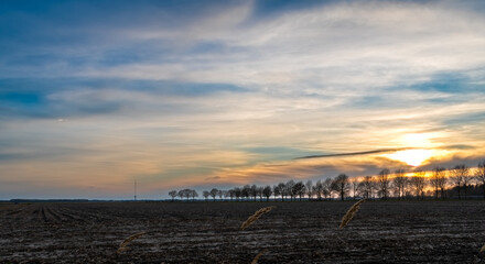 Fototapeta Dramatyczne niebo o zachodzie słońca nad drzewami na farmie obraz
