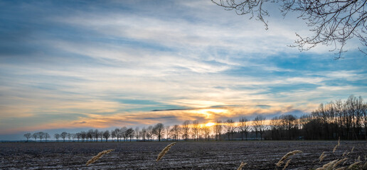 Niebieskie niebo o zachodzie słońca nad farmą