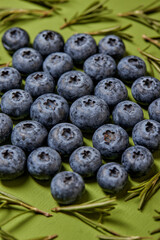 Blueberry isolated on green. trendy berry pattern. Fresh fruit summer pattern. Creative food concept. Agriculture harvest. Top view or flat lay. fresh seasonal fruits