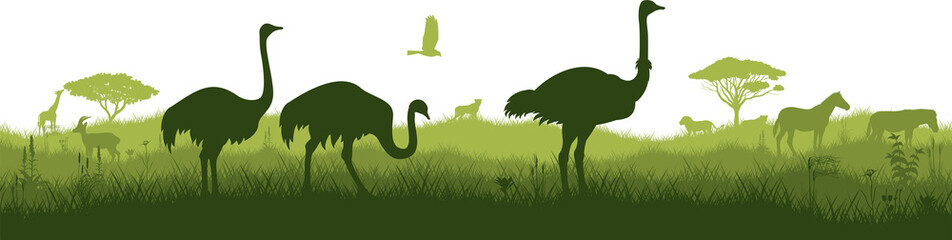 Vector horizontal seamless tropical african savannah with ostrich family, zebra, lions, cheetah and giraffe - obrazy, fototapety, plakaty