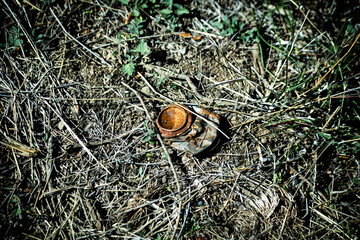 crushed rusty can on the ground