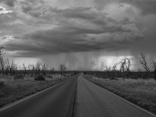 Empty deserted highway across the Colorado Plains driving through burnt trees amid approaching rain...