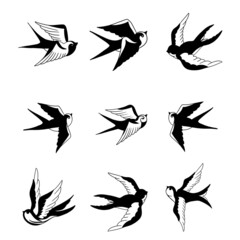 Big set of traditional swallows . swallows old school tattoo. Swallows pattern on white background. Swallows pattern on white background