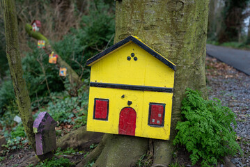 Yellow and red fairy door attached to the base of a tree trunk in an Irish woodland fairy garden.