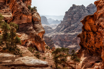 Petra jordan red rock canyon