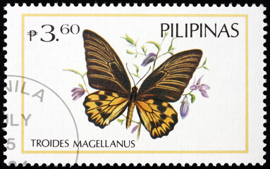 Fototapeta na wymiar Postage stamp Philippines 1971 Magellan birdwing, butterfly