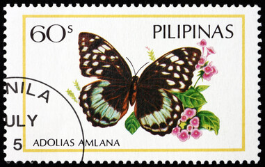 Fototapeta na wymiar Postage stamp Philippines 1971 brush-footed butterfly, butterfly