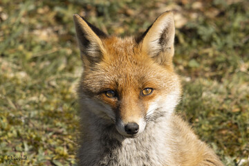 Les yeux dans les yeux