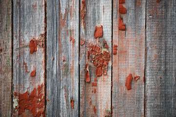 texture of the wooden surface of the old door, photo for text