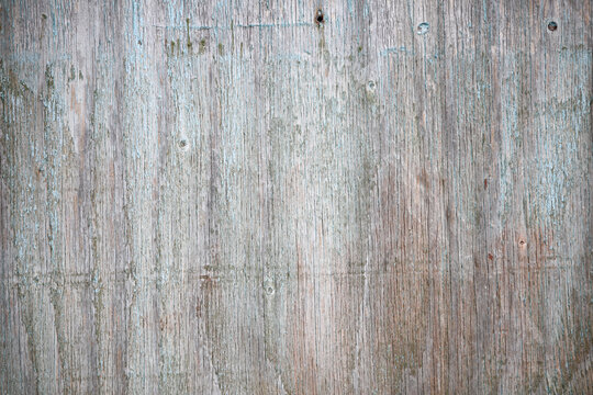 texture of the wooden surface of the old door, photo for text