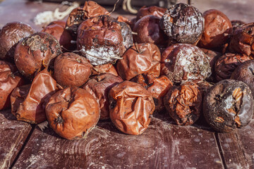 rotten apples on the table in the garden