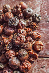 rotten apples on the table in the garden