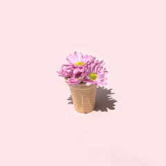 Pastel light purple flower in ice cream cone cup on pink background. Creative flower concept. Minimalistic nature and food composition.