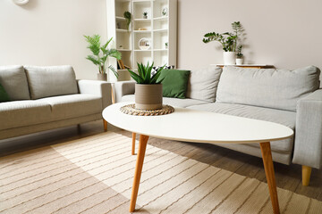 Coffee table with houseplant in light living room