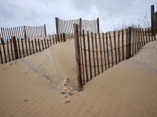 Storm fencing on the sand dunes of the Outer banks of North Carolina