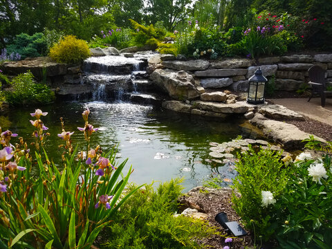 Pond