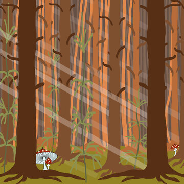 A jpeg illustration of a deep forest with green grass and several fly agarics near some trees. Designed in brown and green colors for web concepts.