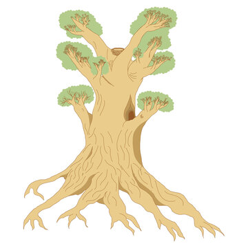 An outline jpeg illustration of a large tree isolated on transparent background. Designed in brown and green colors for web concepts, templates, prints.