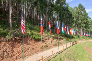 Fototapeta na wymiar International Sport Event Country Flags Dozens Outdoor Location